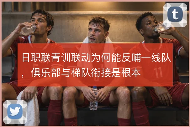 日职联青训联动为何能反哺一线队,俱乐部与梯队衔接是根本