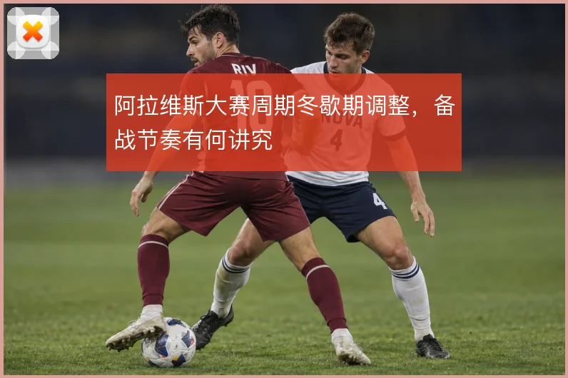 阿拉维斯大赛周期冬歇期调整，备战节奏有何讲究